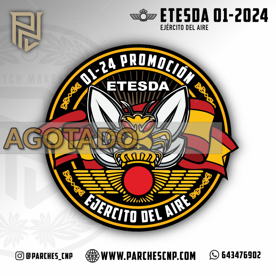 EMBLEMA GENERICO ETESDA CICLO 01/2024