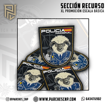 Cargar imagen en el visor de la galería, EMBLEMA CONMEMORATIVO SECCIÓN RECURSO XXXIX P.N. E.B. PROMOCIÓN XL
