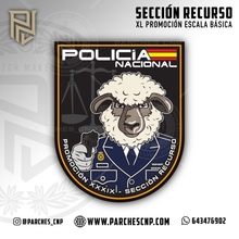 Cargar imagen en el visor de la galería, EMBLEMA CONMEMORATIVO SECCIÓN RECURSO XXXIX P.N. E.B. PROMOCIÓN XL
