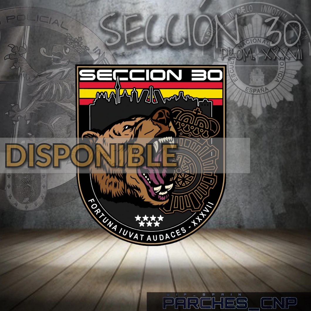 EMBLEMA CONMEMORATIVO DE LA SECCIÓN 30 DE LA PROMOCIÓN XXXVII